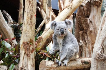 Zweitbester Zoo Europas - Zoo Leipzig