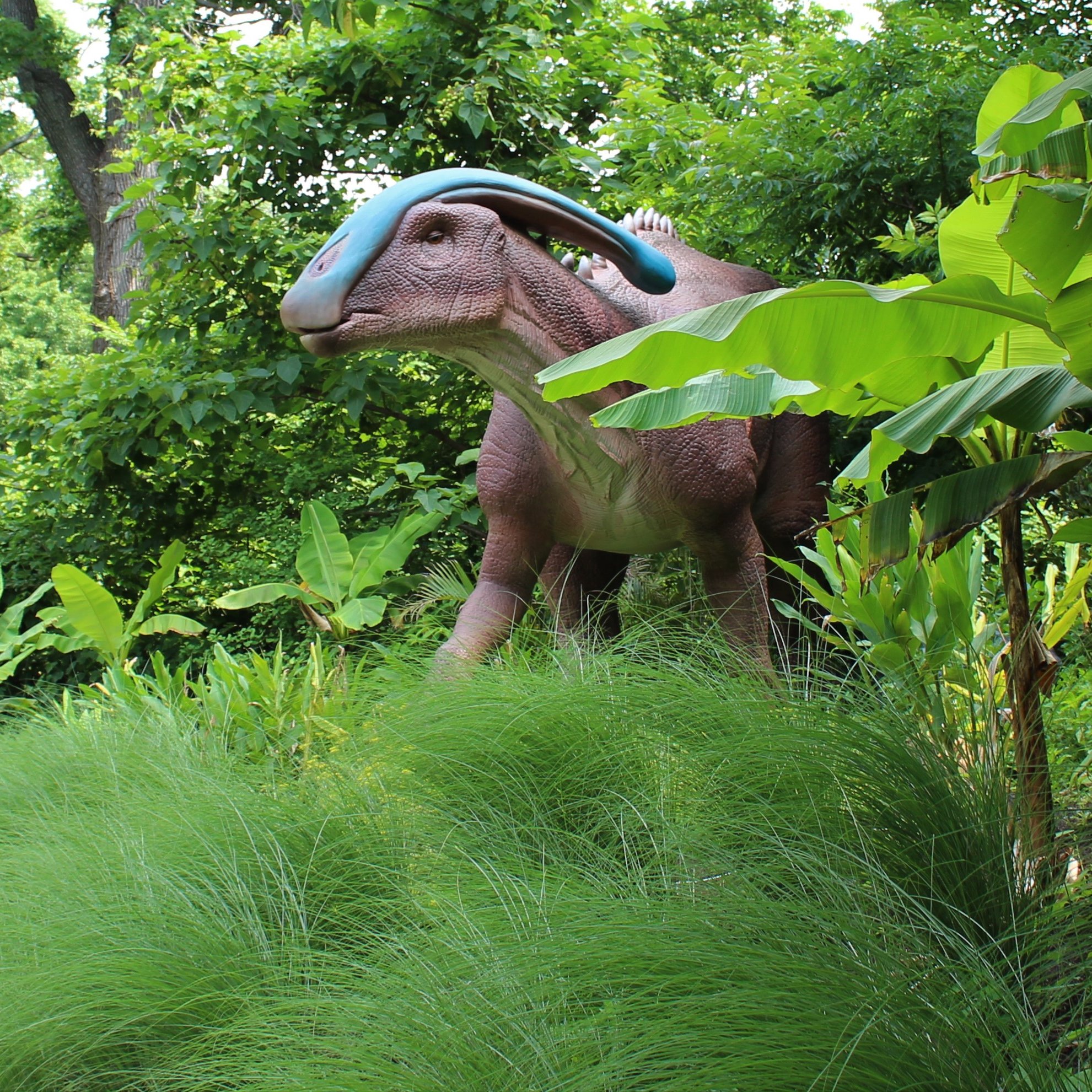 Dinosaurier sind ein Dauerbrenner – nicht nur bei Kindern