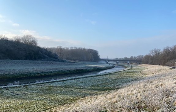 Weg an der Neuen Luppe
