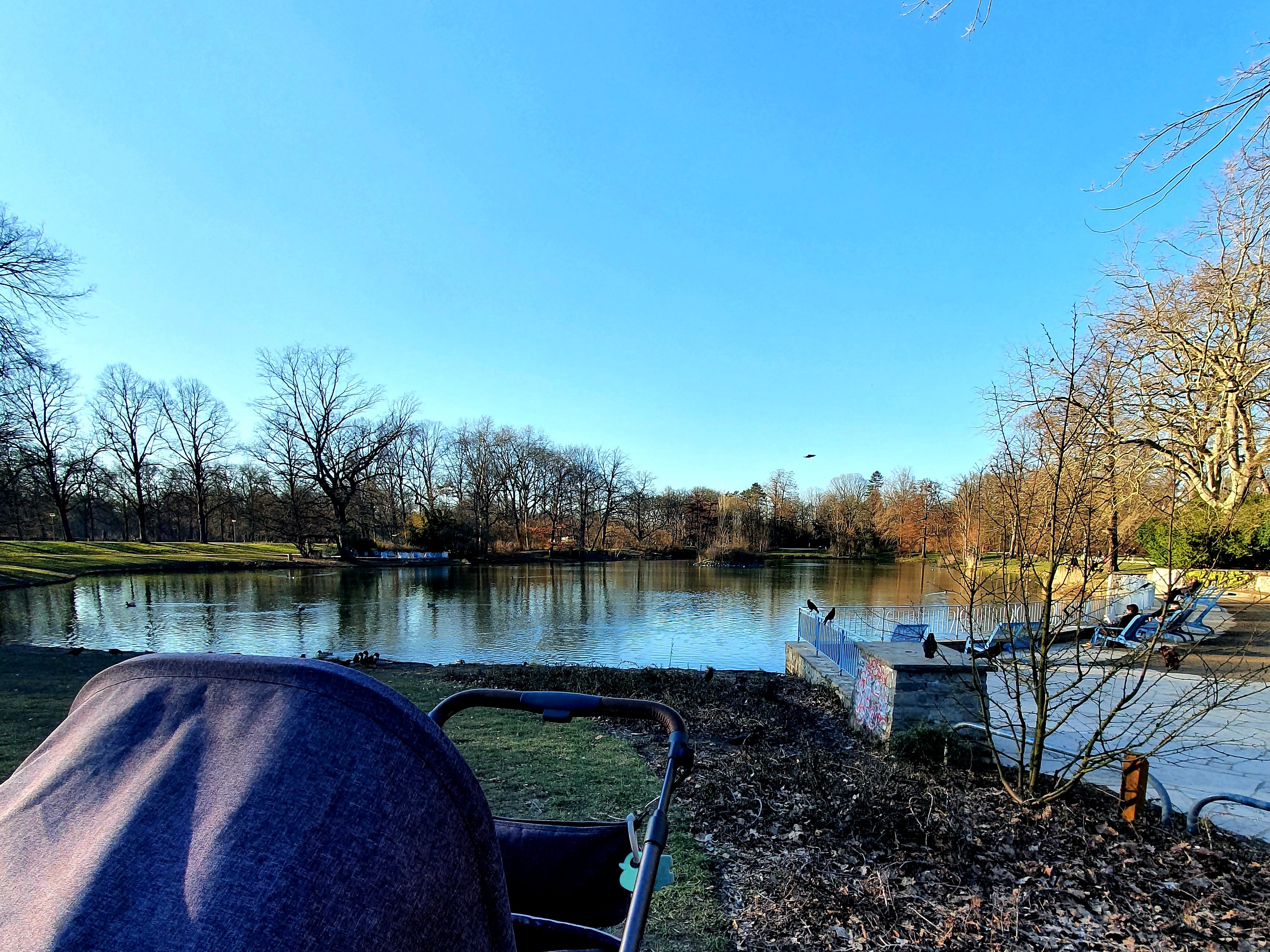 Clara Park