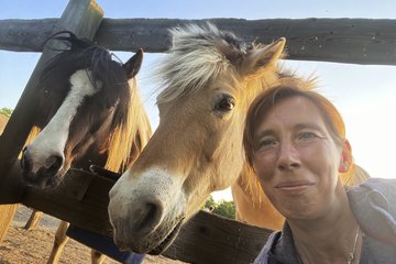 Dr. Horse