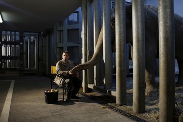 Thorsten Wolf