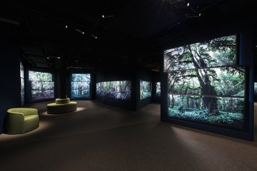 Die Installation „Regarding Forests“