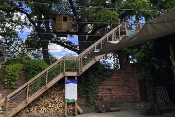Baumhaus im Sommer