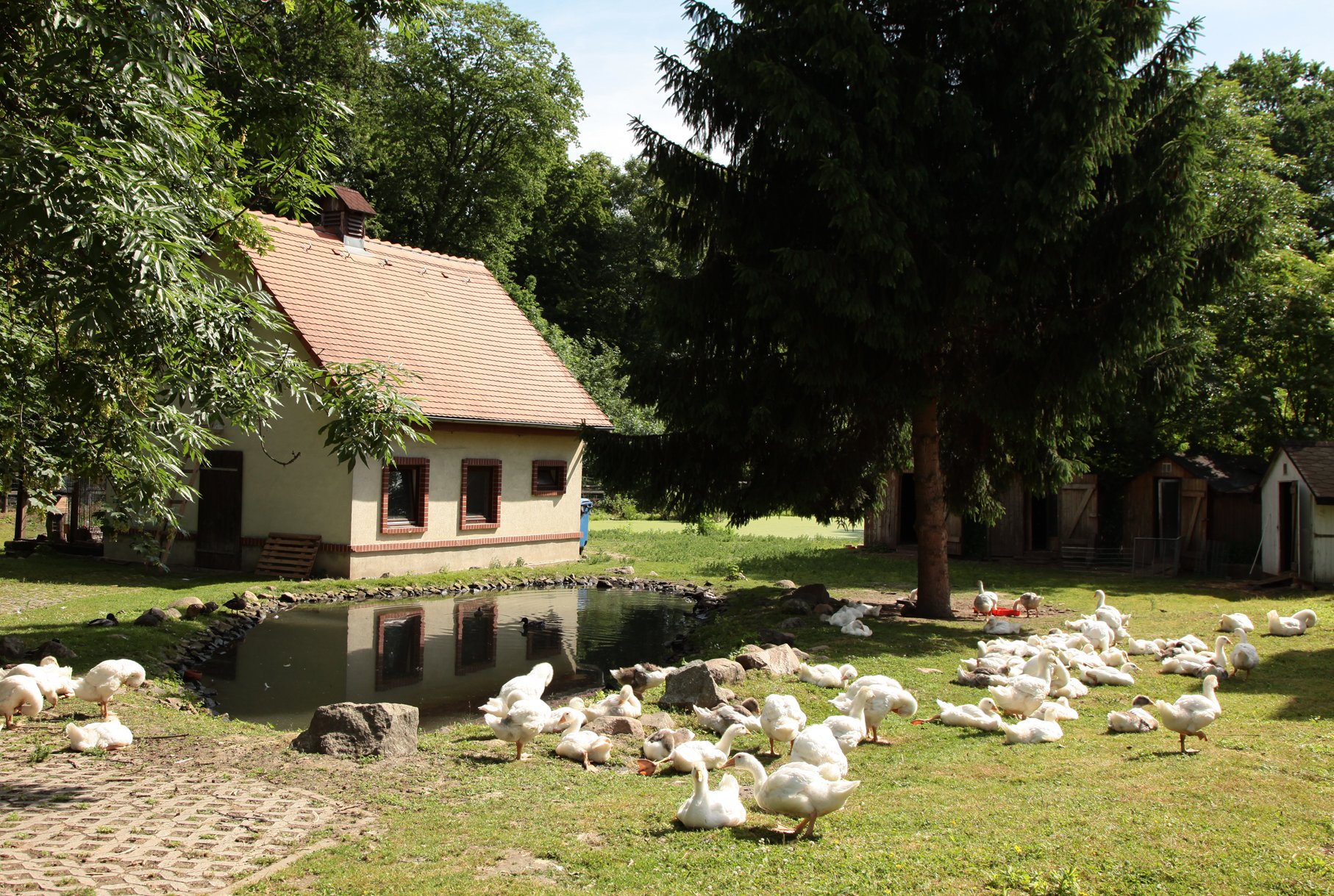 Stadtgut Leipzig Mölkau GmbH