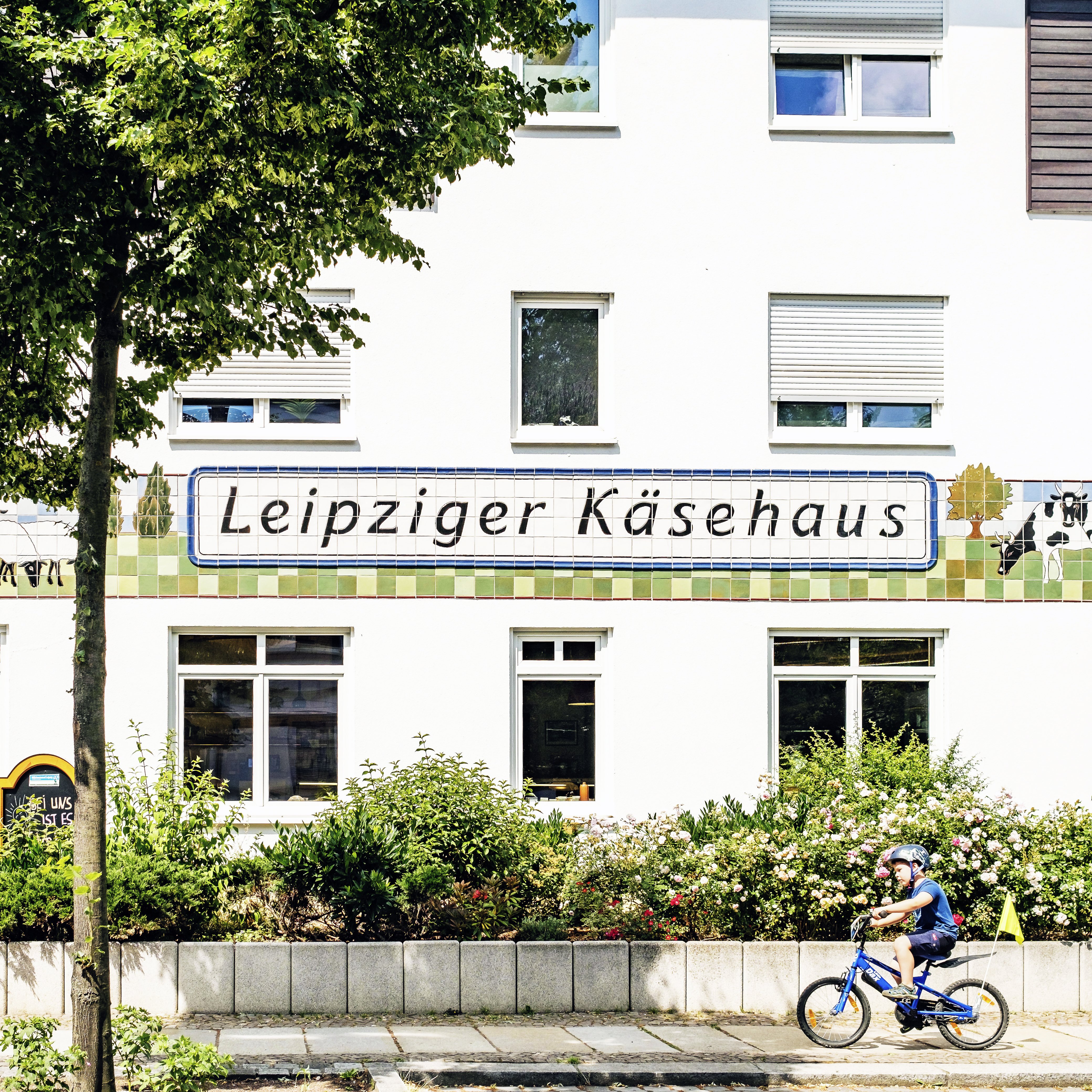Das Käsehaus