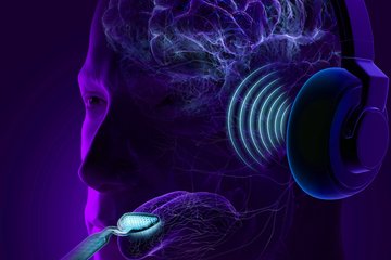 Tinnitus-Studie bestätigt