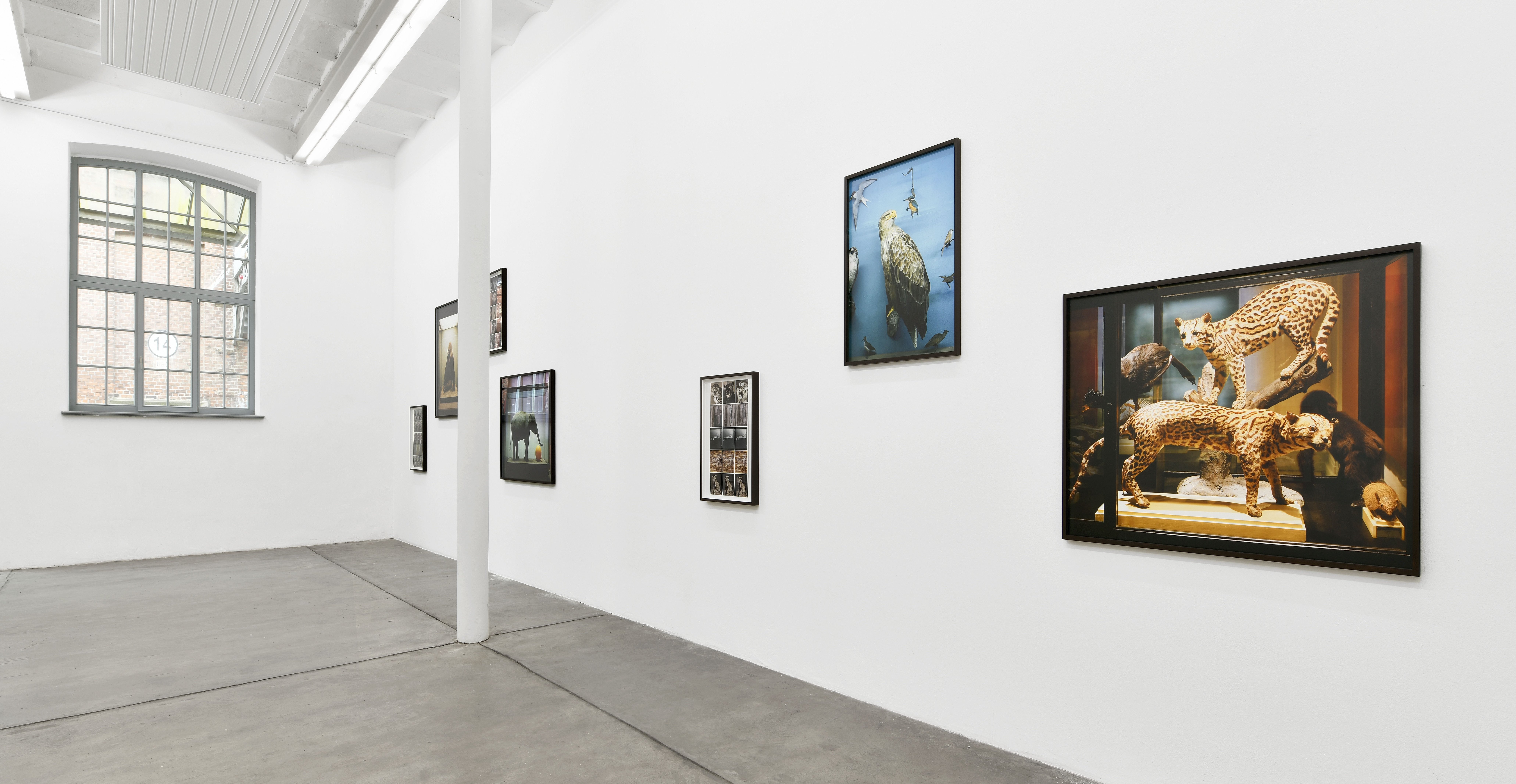 Galerie Kleindienst