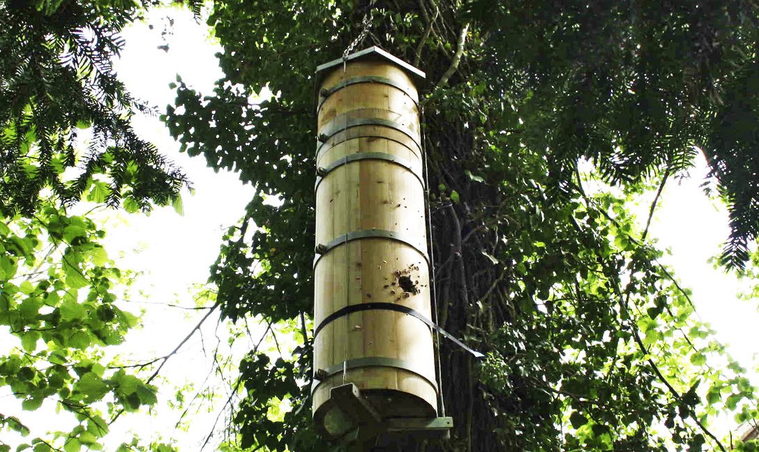 Baumhöhlen für Wildbienen