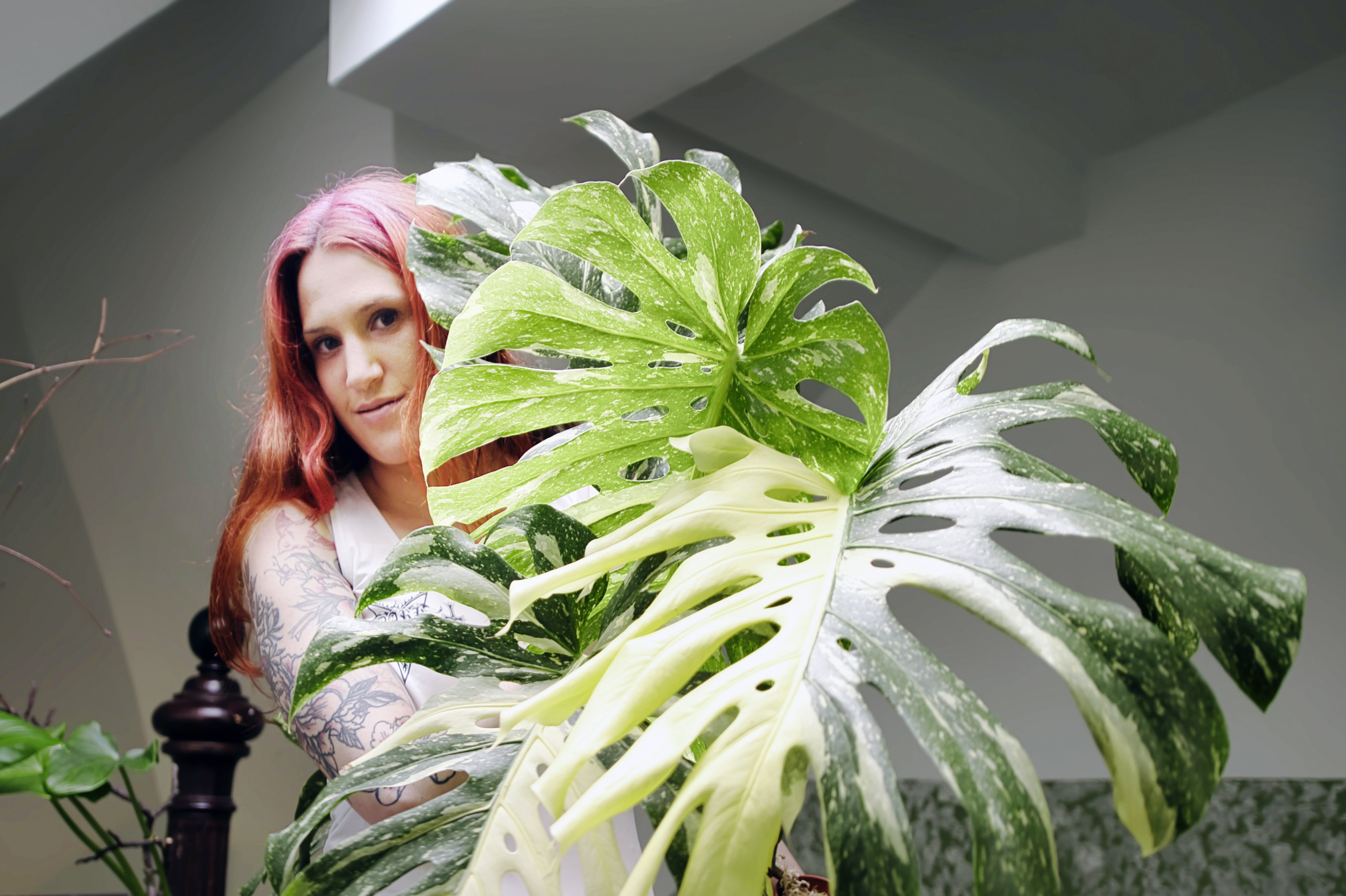 Johanna Mayer