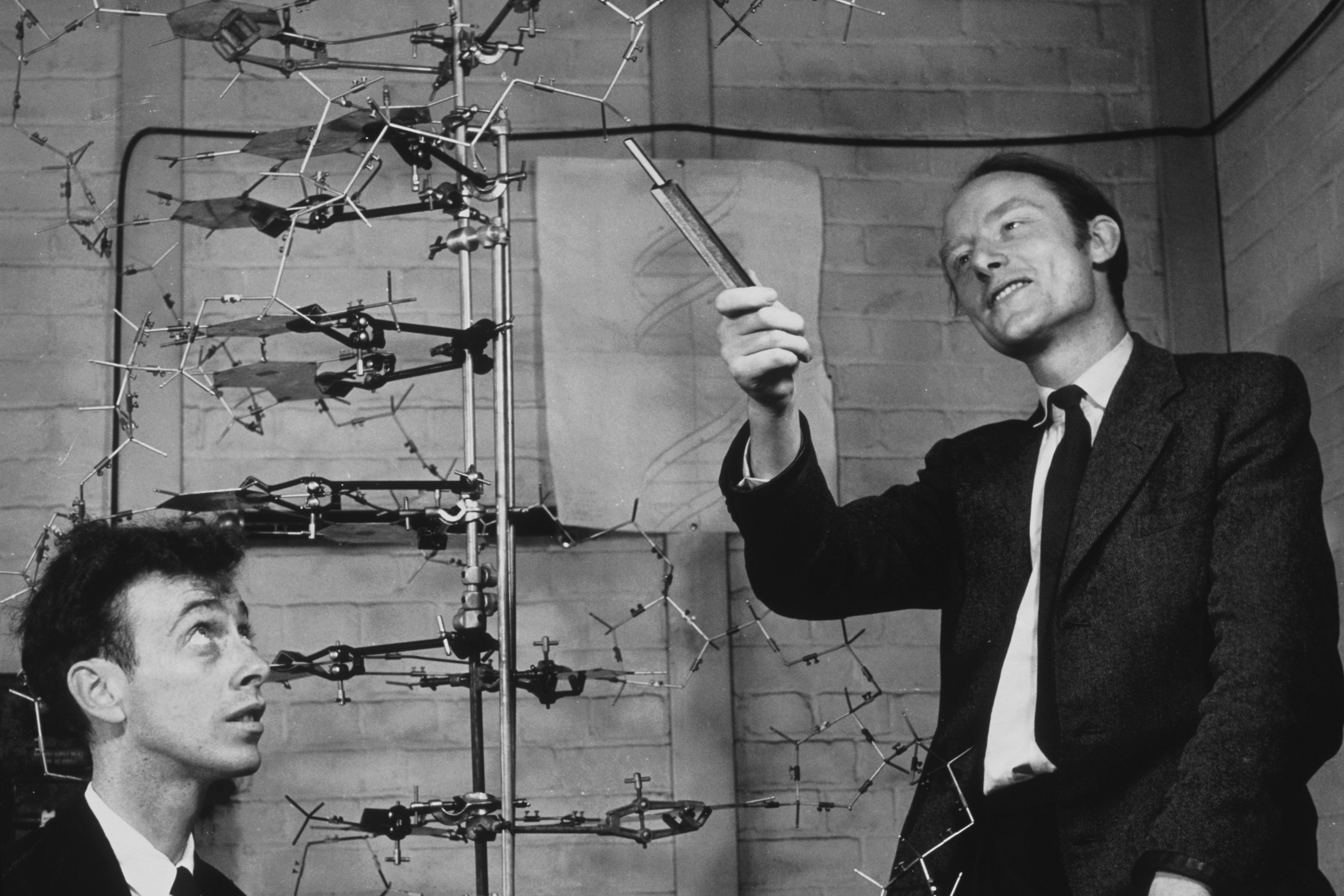 Watson und Crick