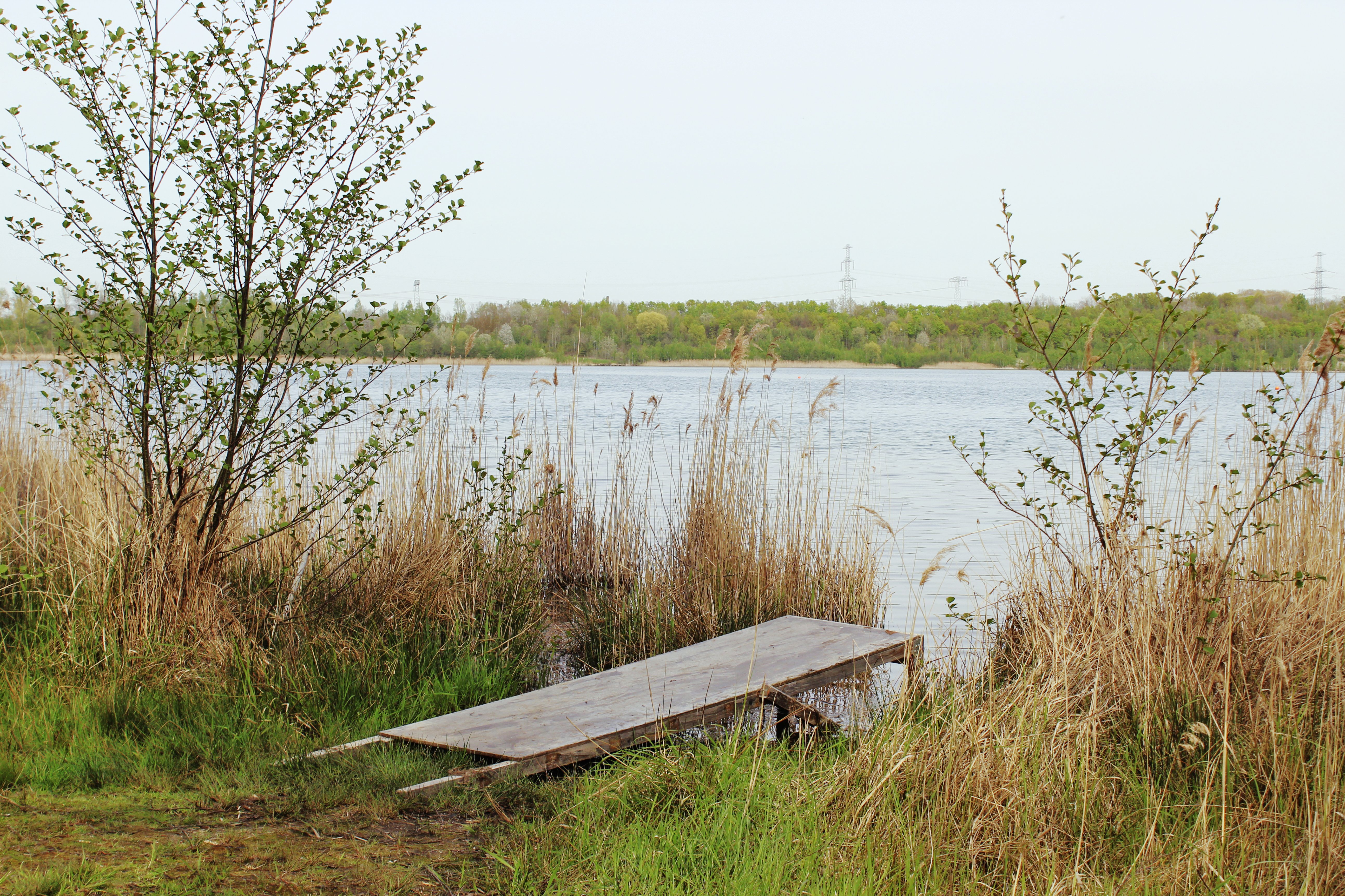 Der Bockwitzer See befindet sich bei Borna