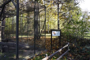 Wildpark Leipzig