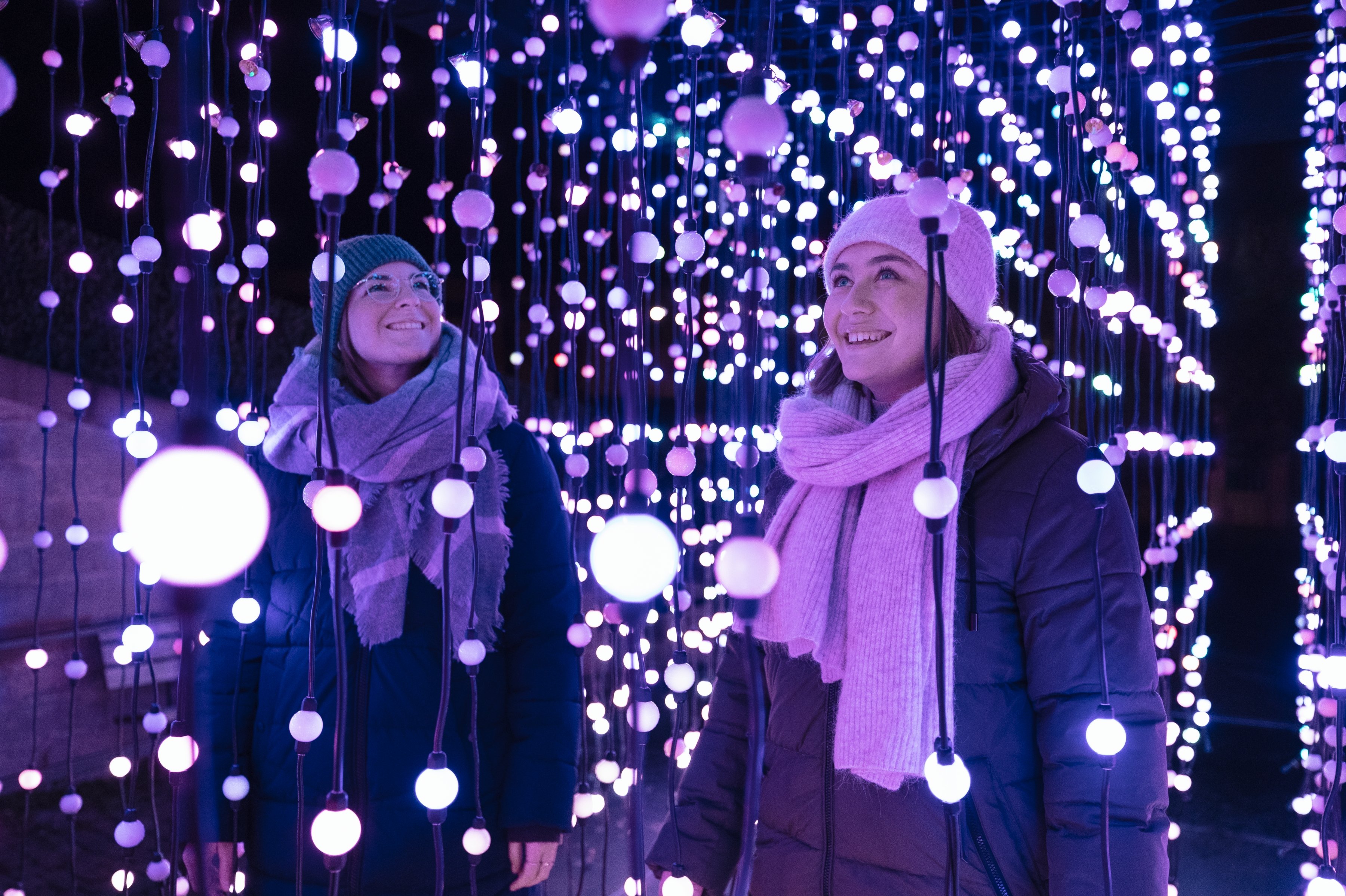 Christmas Gardens