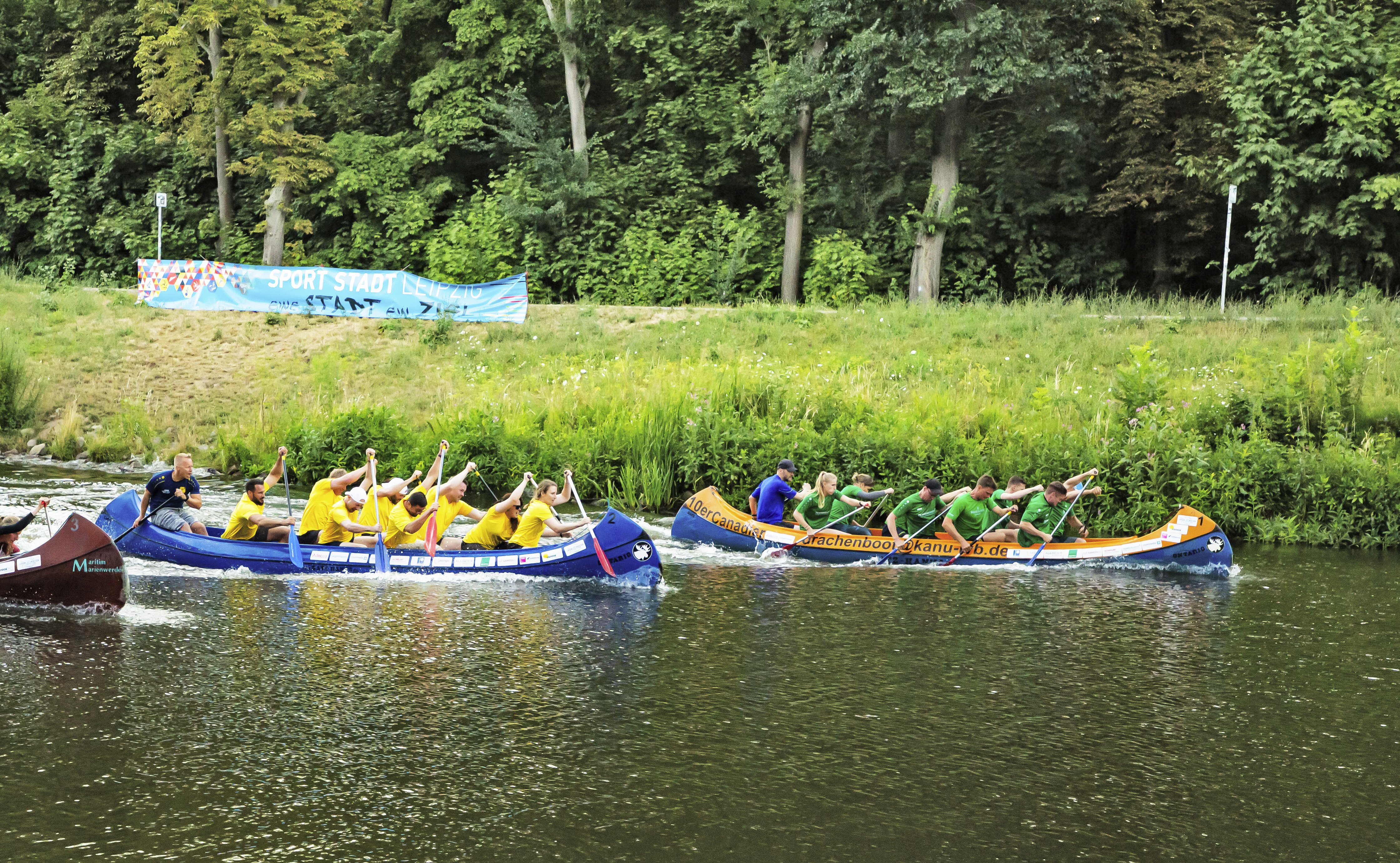 OPEN WATER CUP