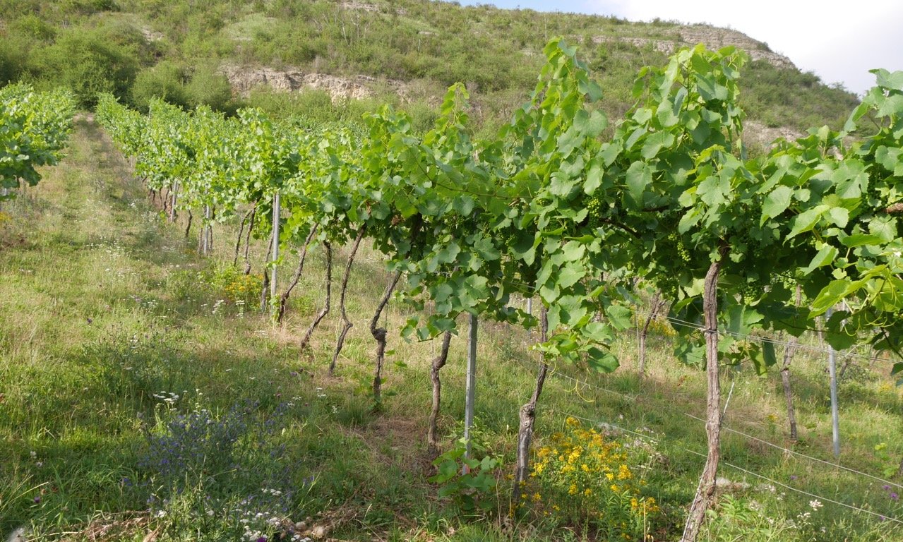 Weinberg