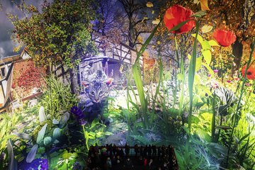 Carolas Garten
