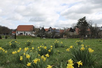 Höfgen