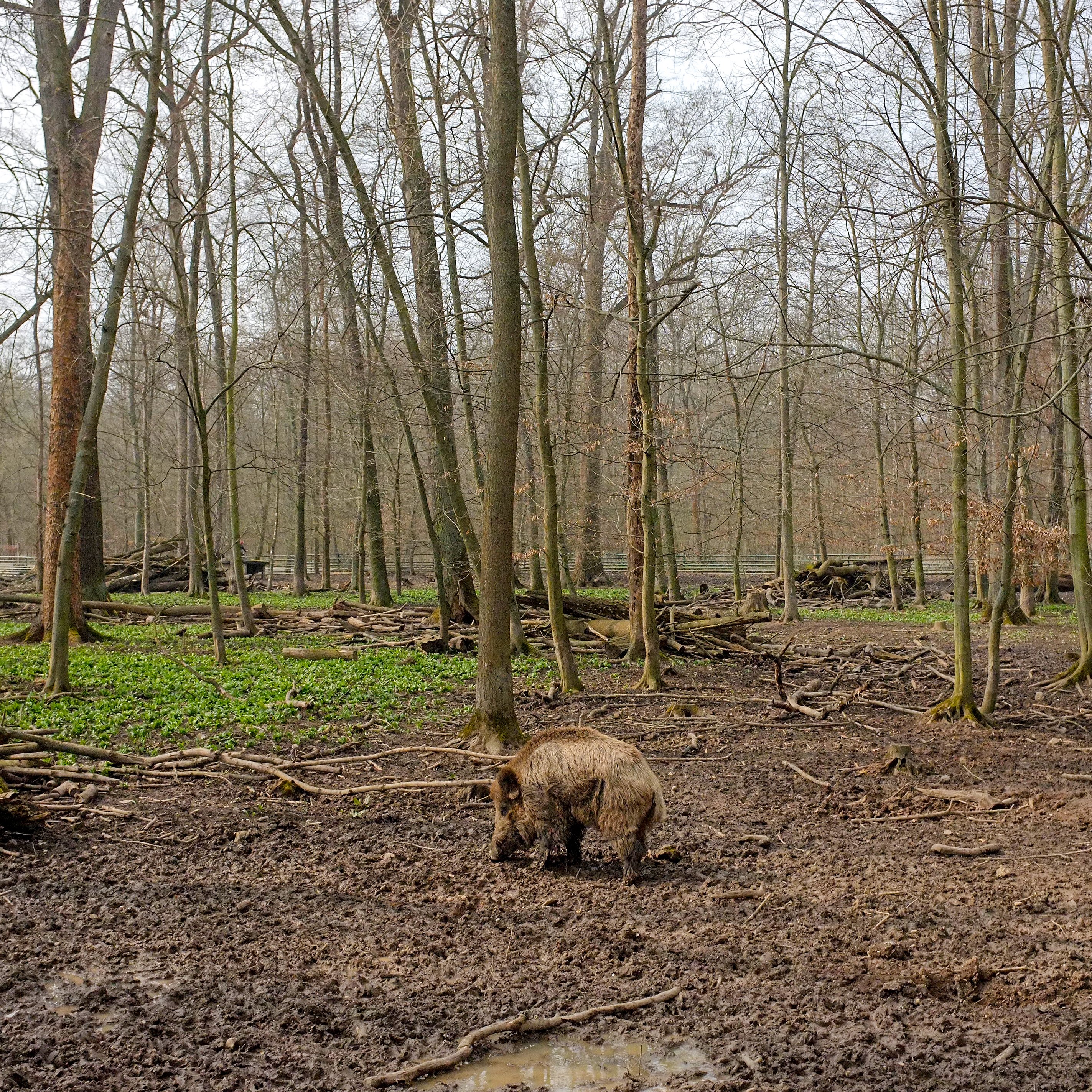 Wildpark Leipzig Connewitz