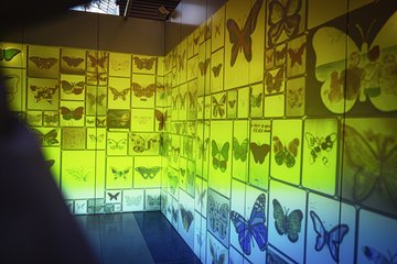 Einzigartige Kunst im Allee-Center mit der „Family Art Box"