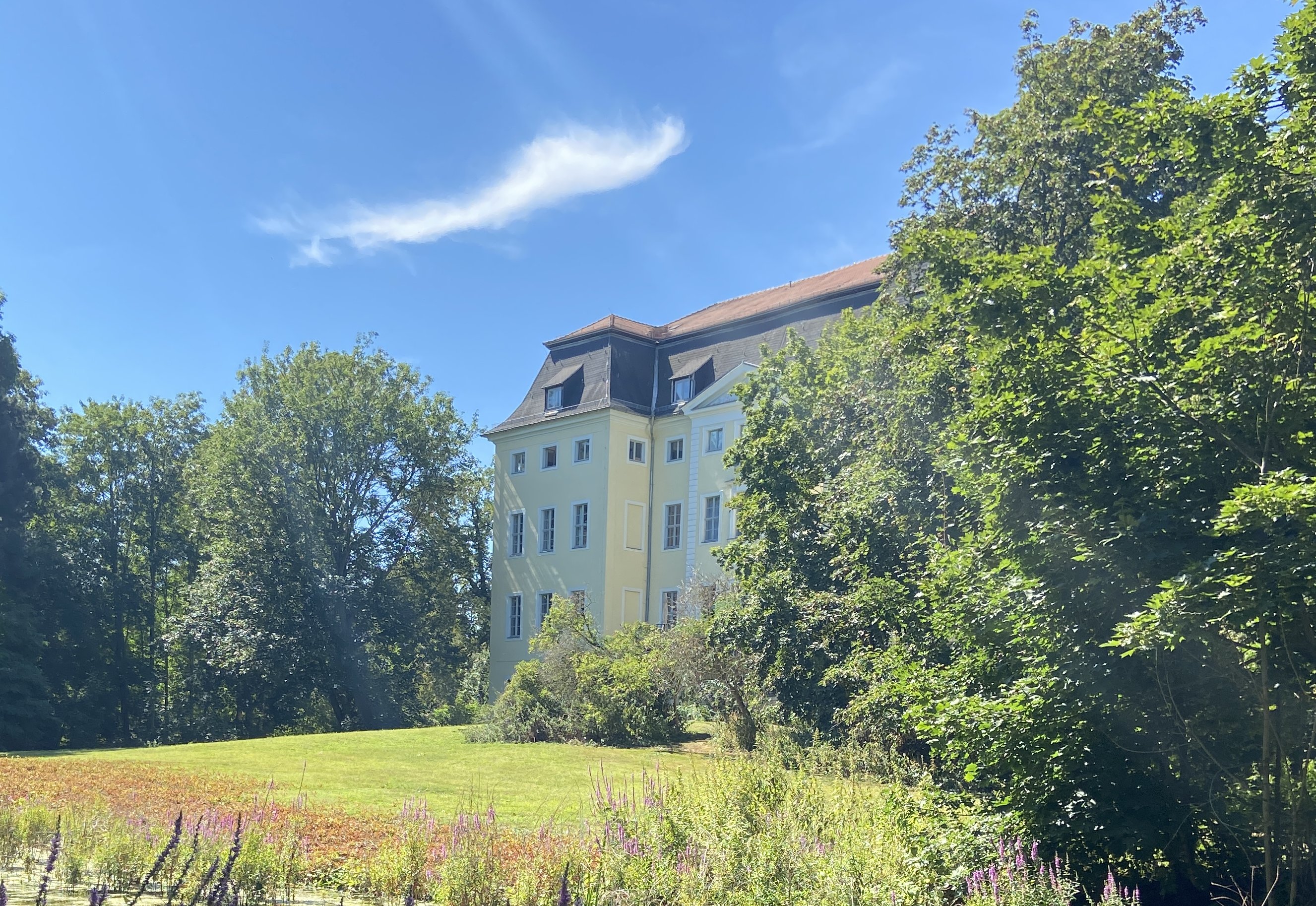 Schlosspark Knauthain