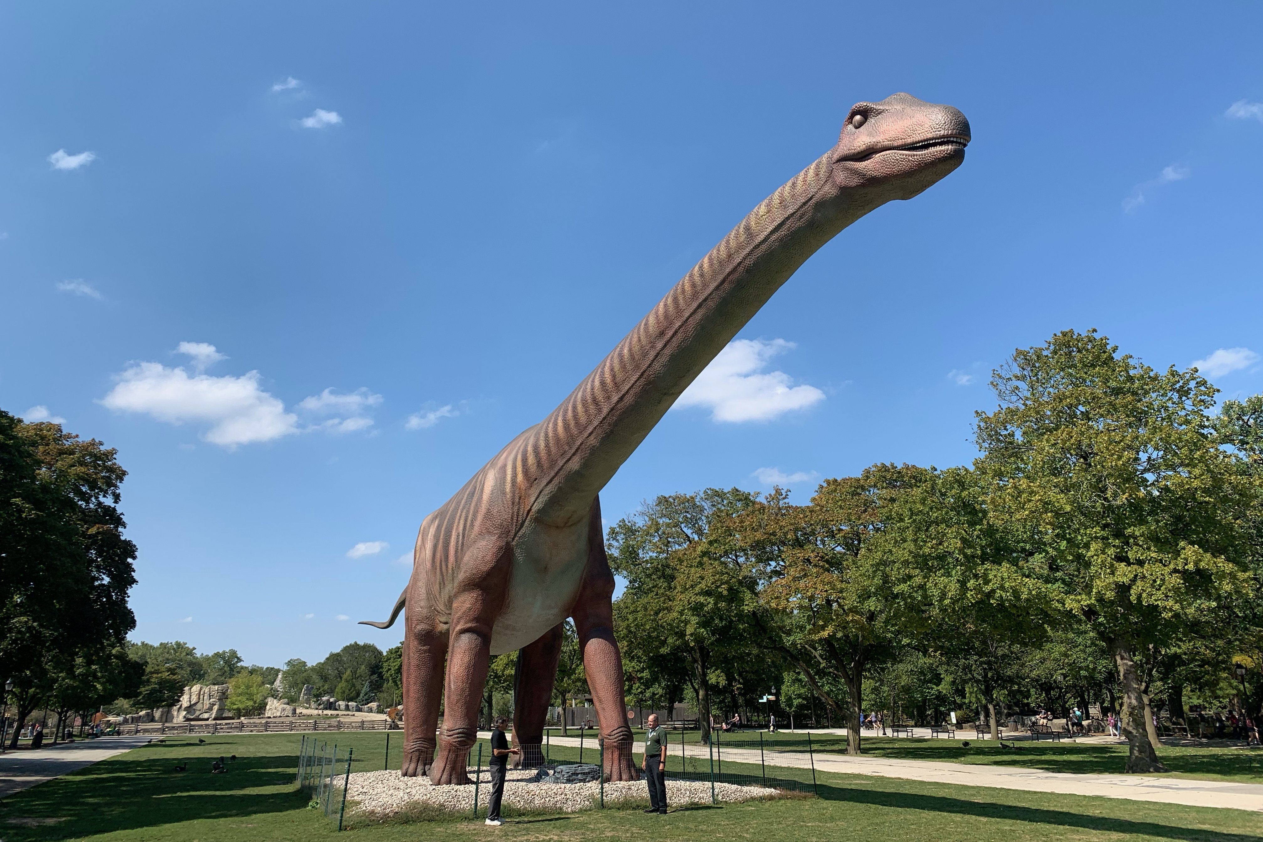 Die Dinos kommen! Ähnlich wie hier wird das dann auch im Leipziger Zoo aussehen