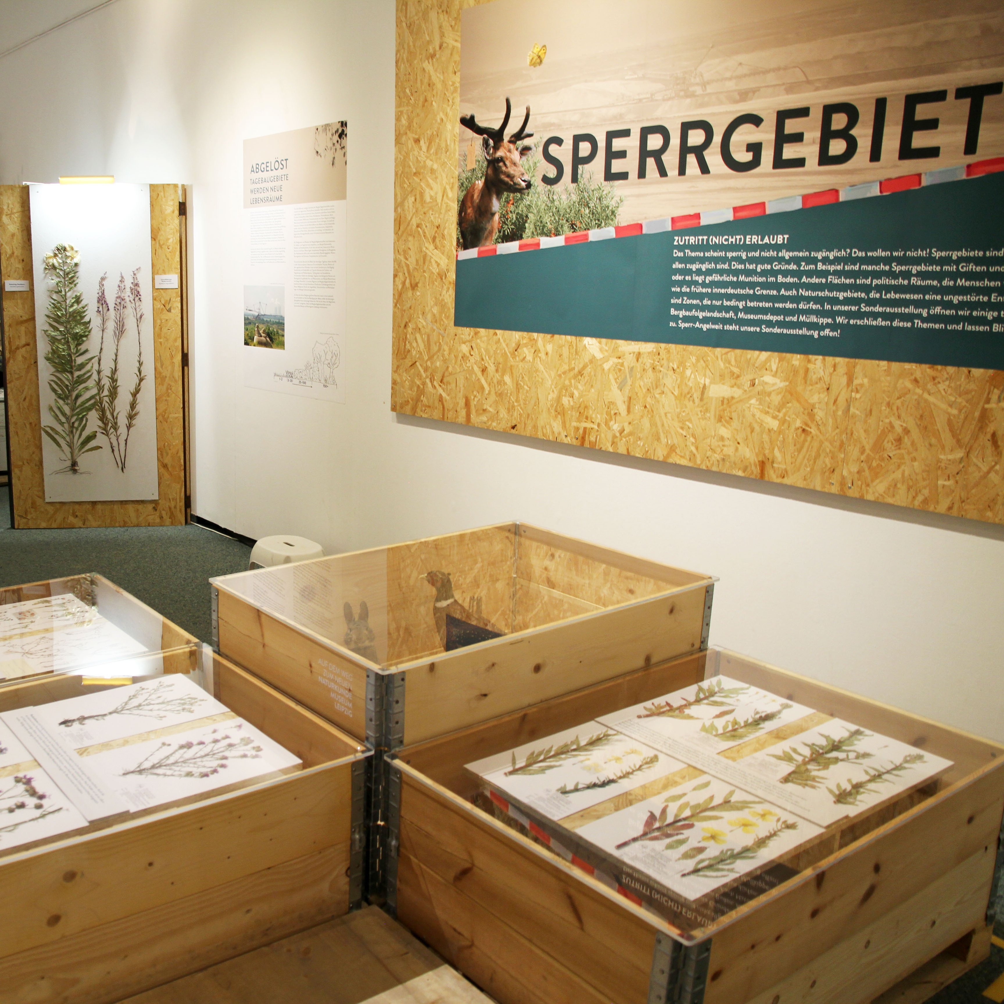 Das Naturkundemuseum inszeniert in seinen Ausstellungsräumen verschiedene Sperrgebiete