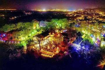 Faszinierende Lichterlandschaft im Bergzoo Halle