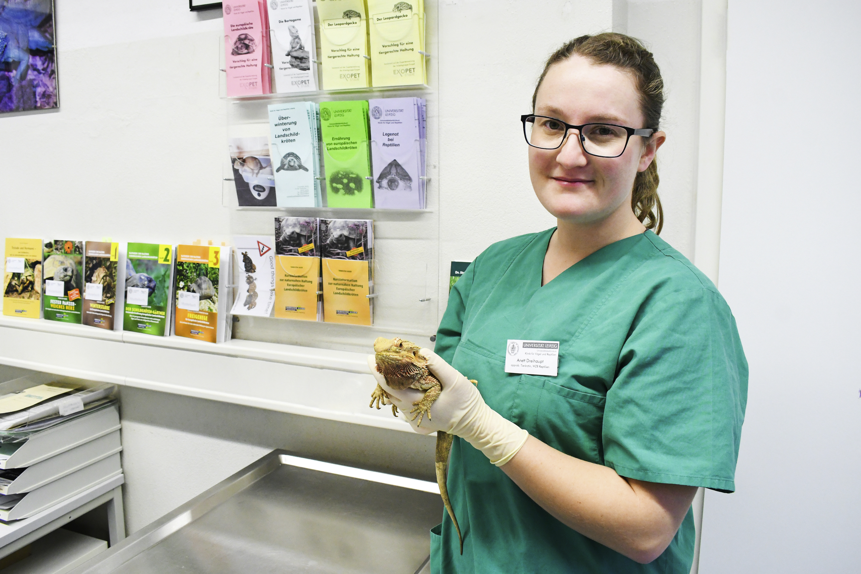 Reptilien als Haustier Anett Dreihaupt