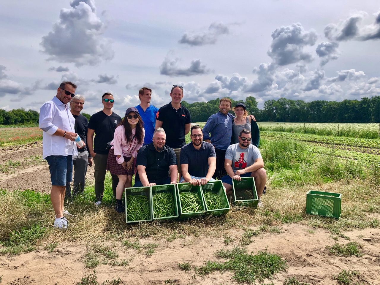 Eine Gruppe von Köchen auf einem Feld mit Körben voll Gemüse