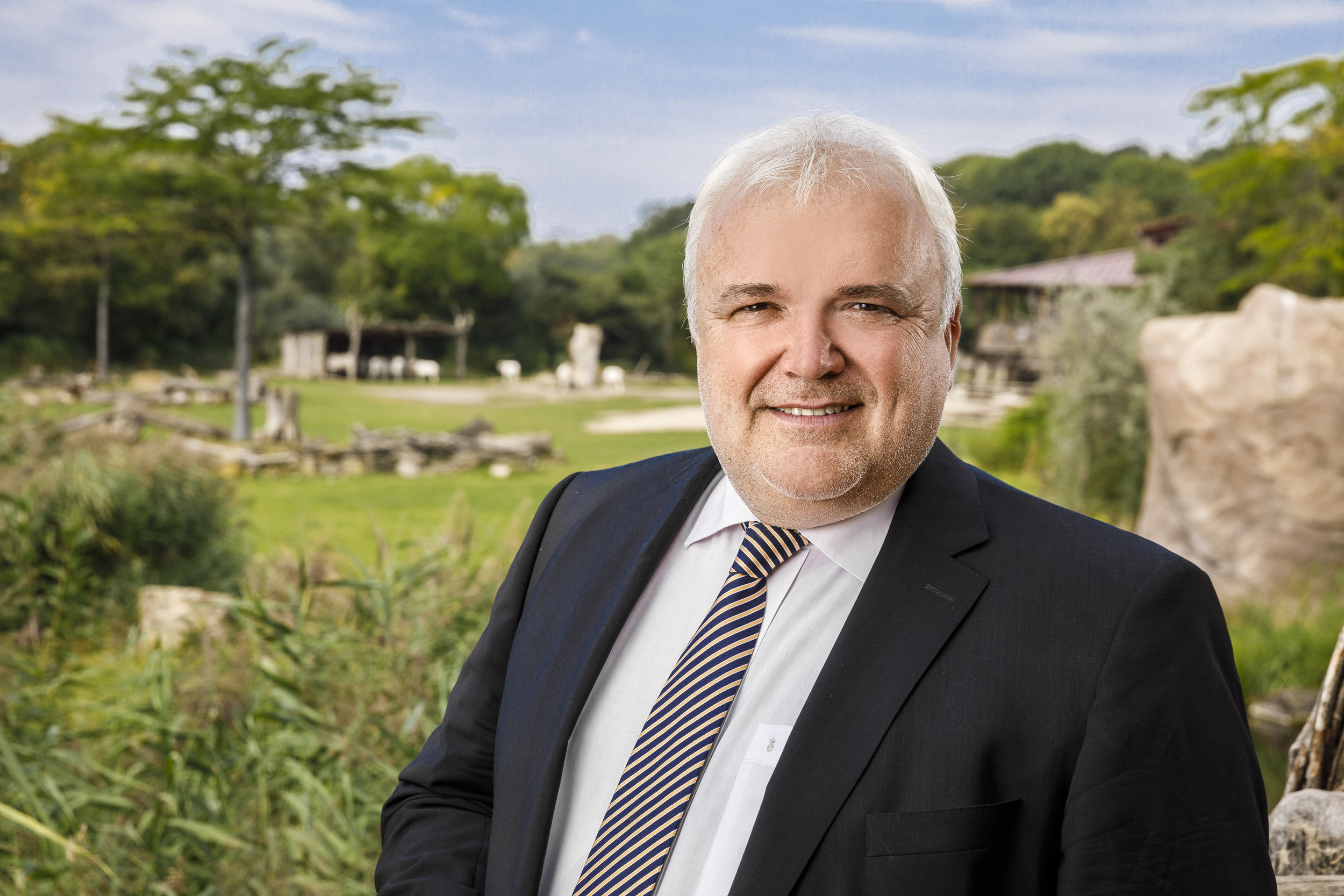 Prof. Dr. Jörg Junhold