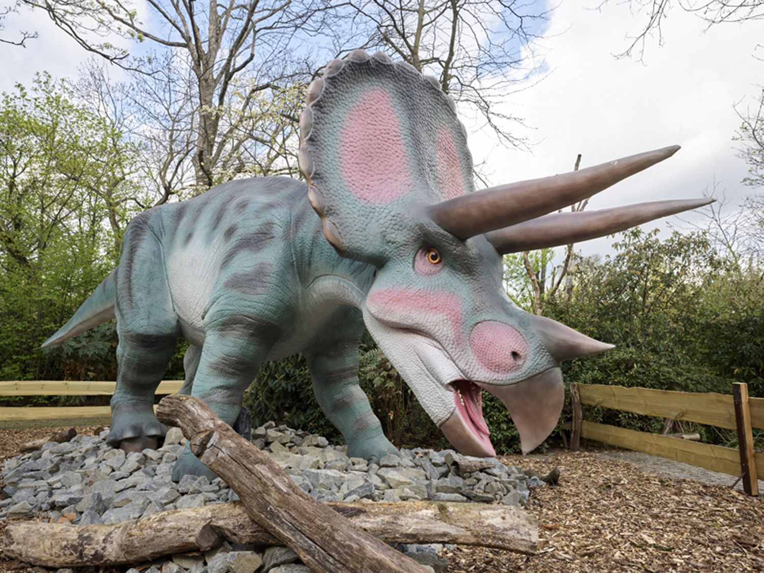 Dinosaurier Ausstellung 2022 in Leipzig Dinosaurier Ausstellung 2022 in Leipzig