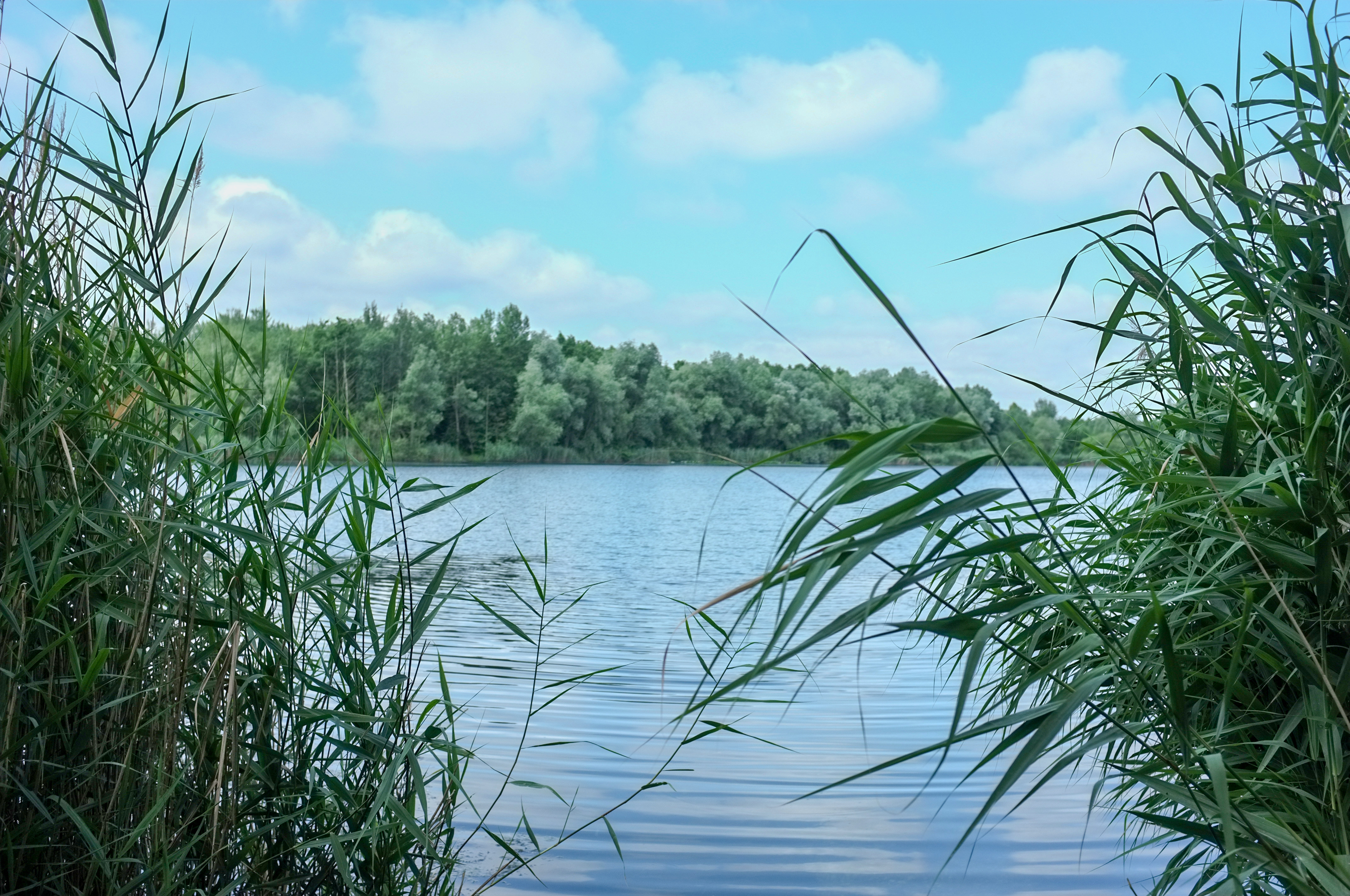 Waldsee Lauer bei Leipzig