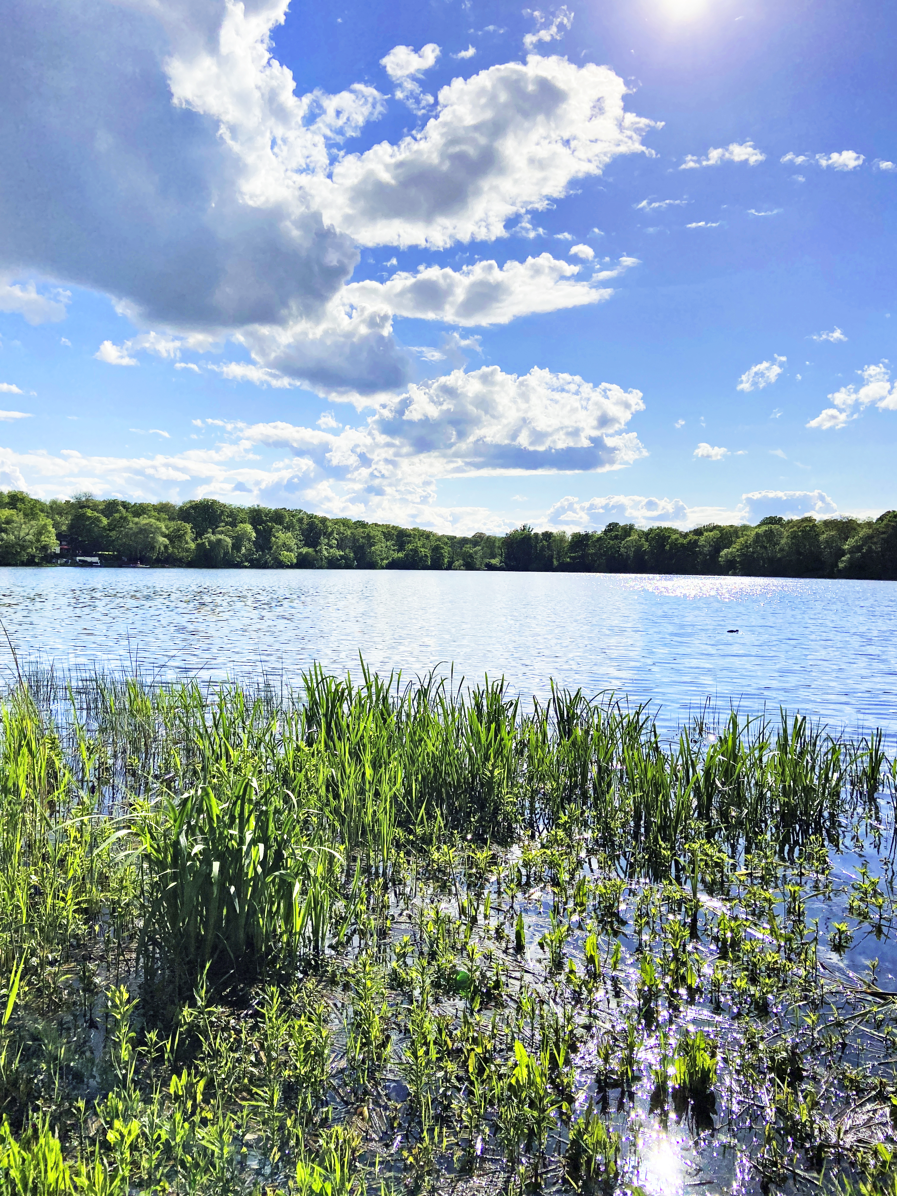 Der Auensee
