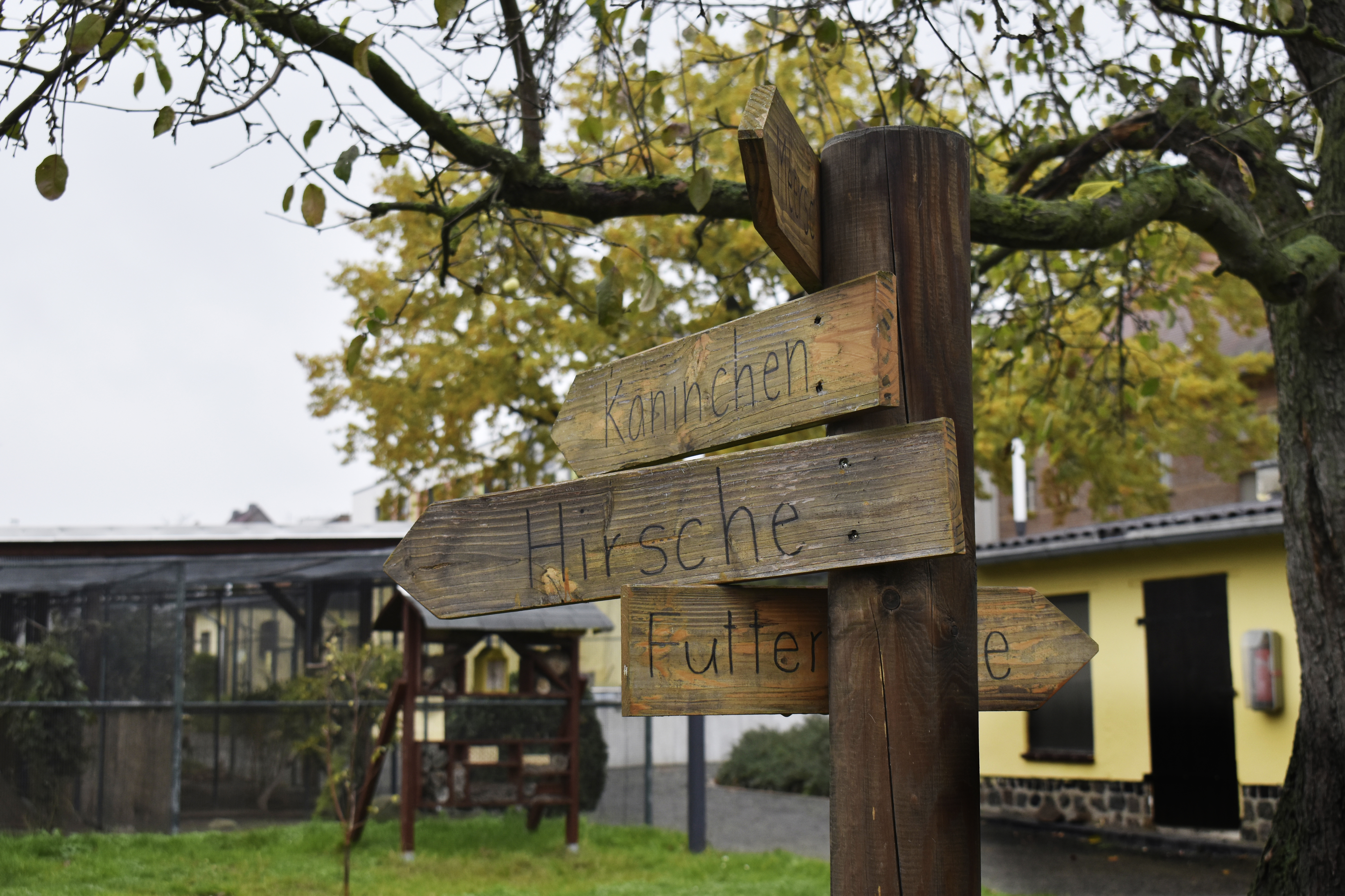 Wegweiser Schulzoo